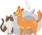 pet